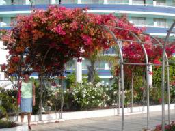 Resize of P21010002.JPG